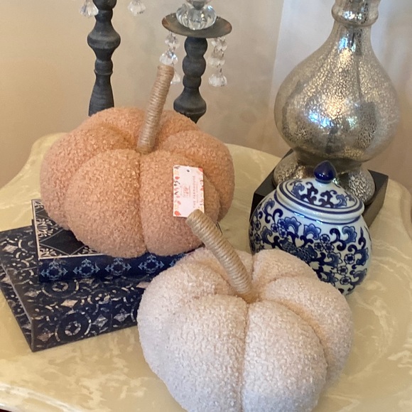 NEW! Fall Harvest FARMHOUSE Cottage Sherpa Peach & Cream Autumn Pumpkin Pillow - Picture 10 of 11